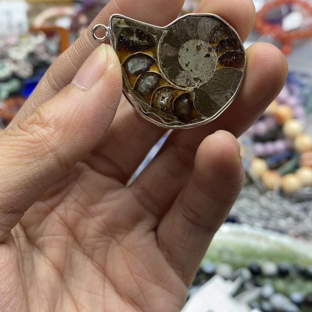 未镶嵌玛瑙/玉髓珠宝半成品一个大号化石螺