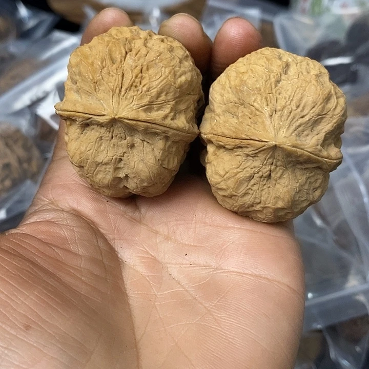 核桃云南铁核桃基地66