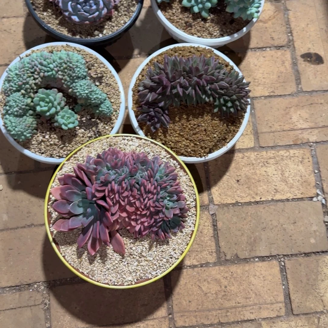 不***言发货时间到我发工资后