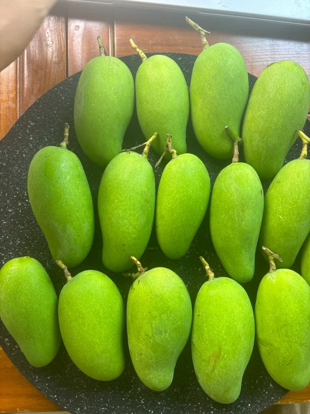 云南保山老品种酸芒果新鲜现摘酸脆爽口可生吃水果