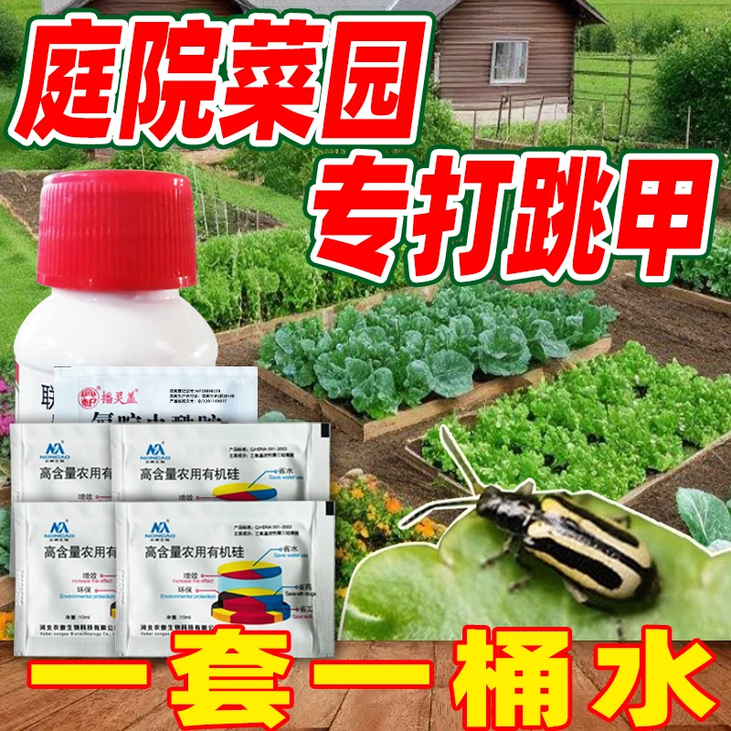 【一套6包 一套一桶水】庭院菜园白菜甘蓝叶菜类跳甲杀虫剂送有机硅