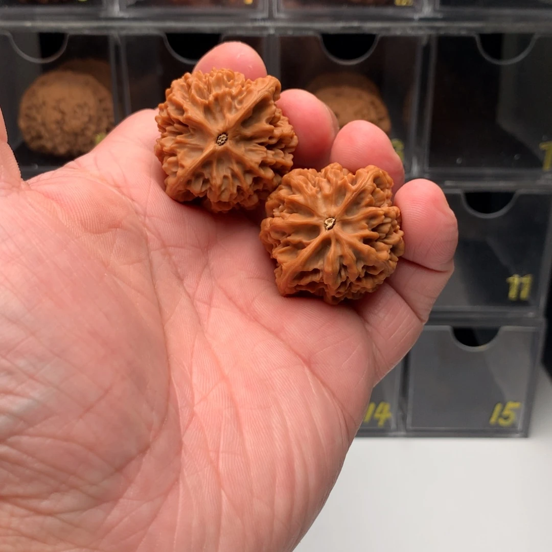 模***饭吊坠桃核文玩核桃1234569