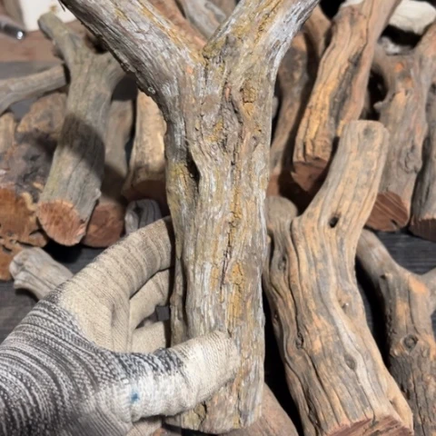 煜***大果紫檀（缅甸花梨）