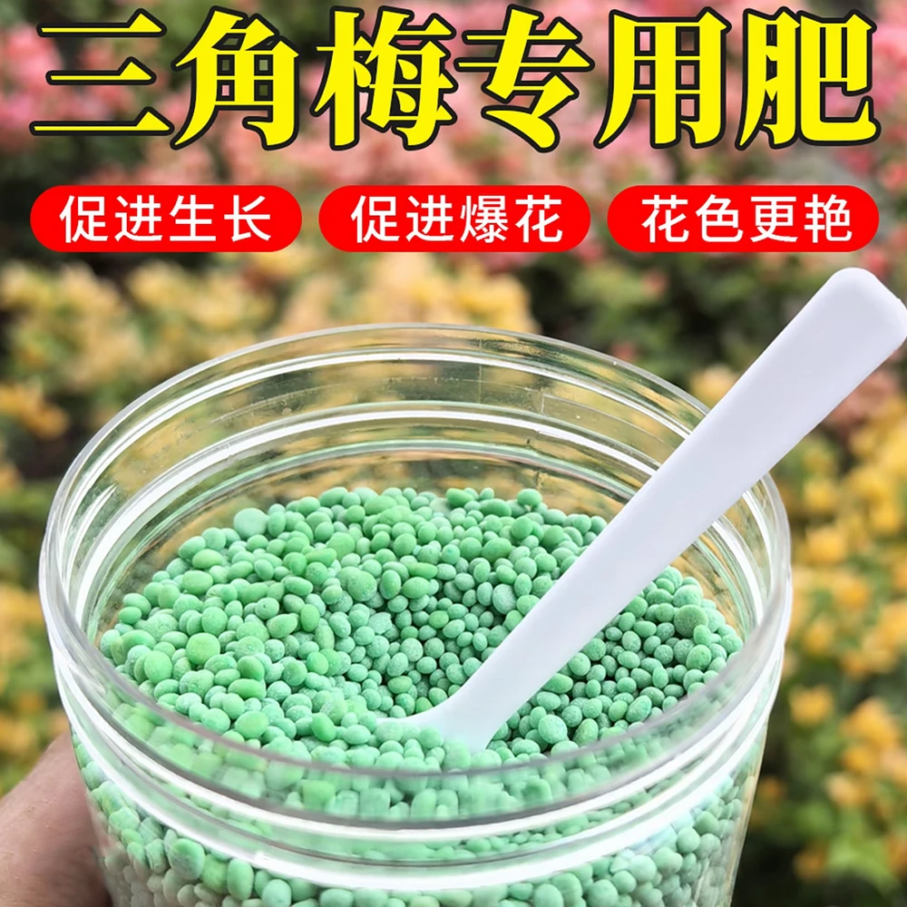 三角梅促花促生长爆花日常专用肥料