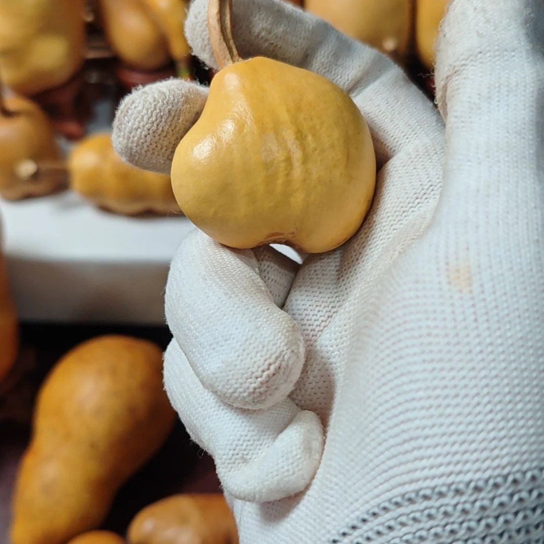 一***记精品土豆葫芦一物一拍