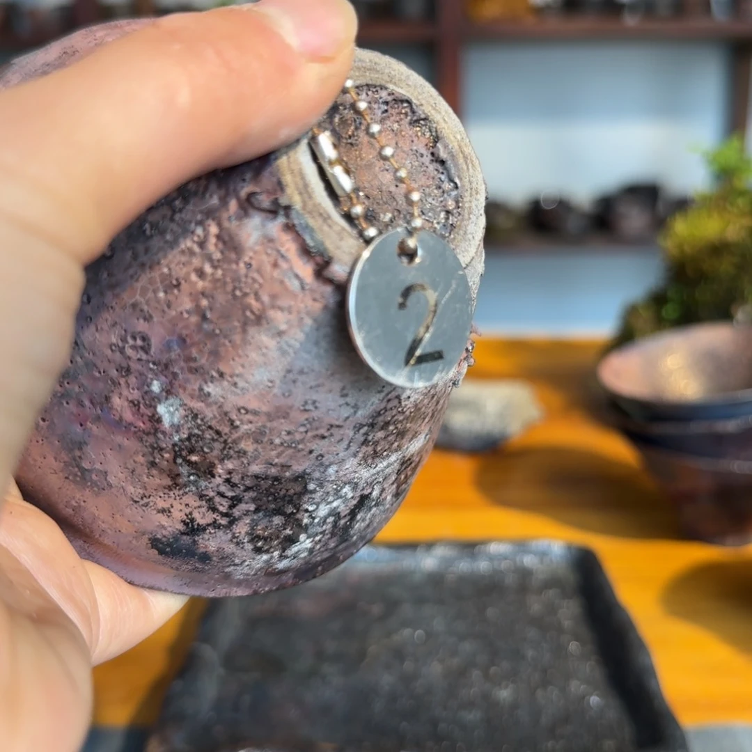 自**生荥经黑砂2号大侠1只