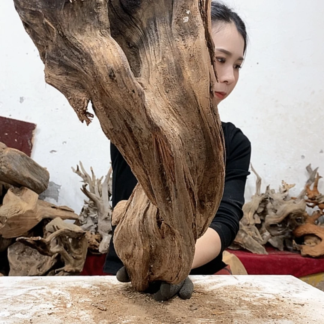 【闪购商品】柏木壹*堂我们都是好孩子