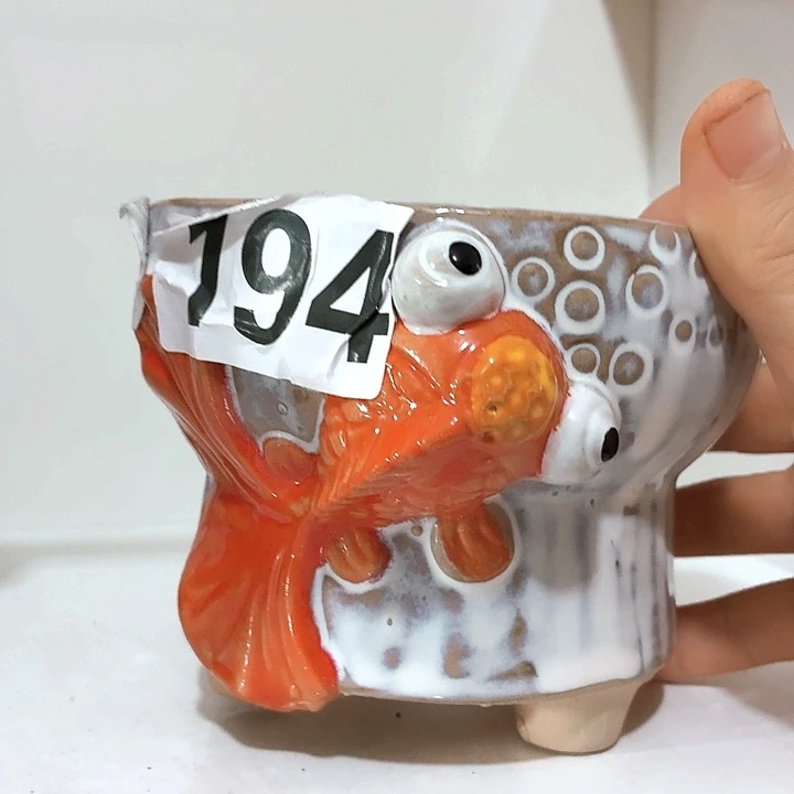 多肉花盆满15包邮