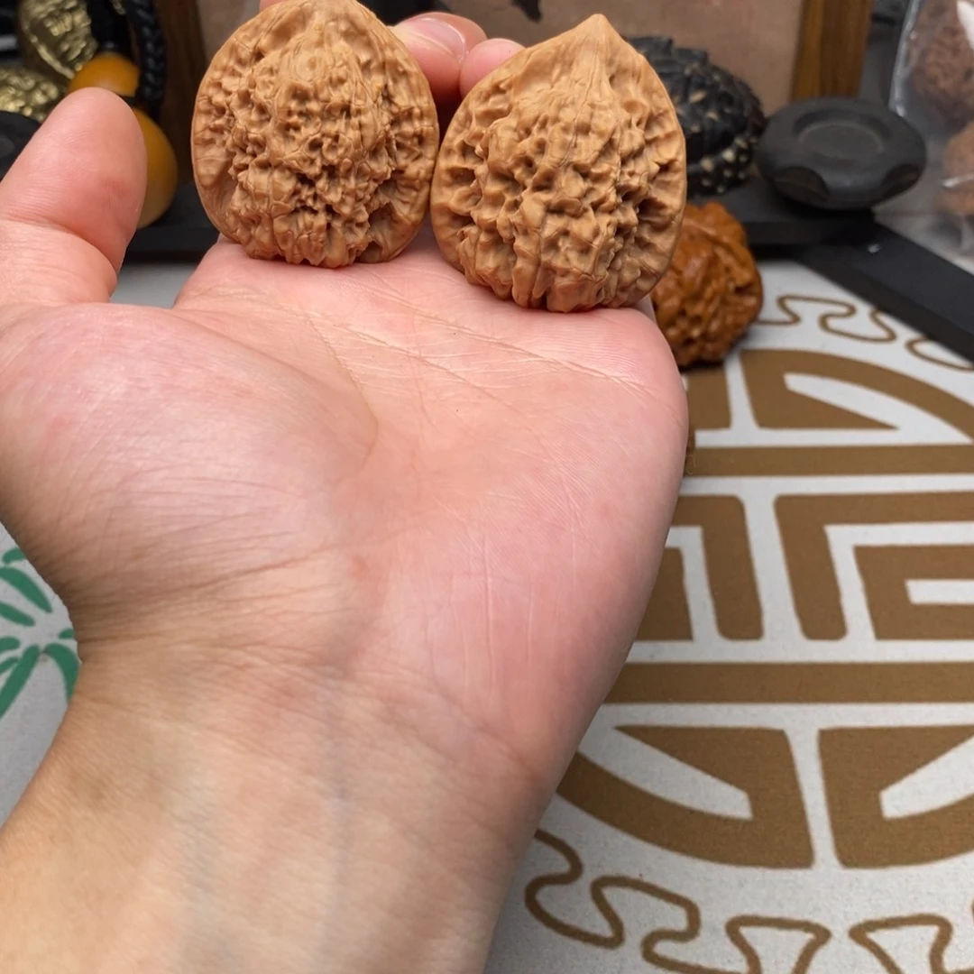 官帽哈哈哈哈哈哈哈