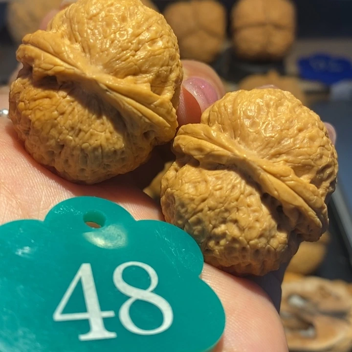 核桃铁锤妹妹尺寸36