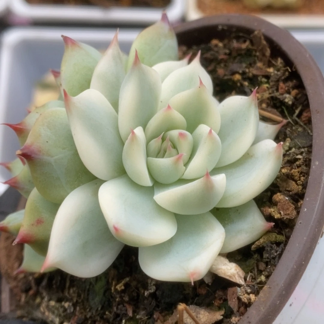 574锦锦锦锦锦锦锦锦