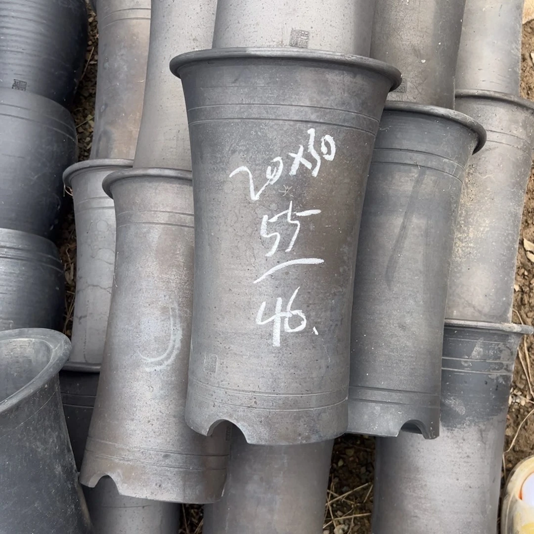 放漏直筒口径20高度30
