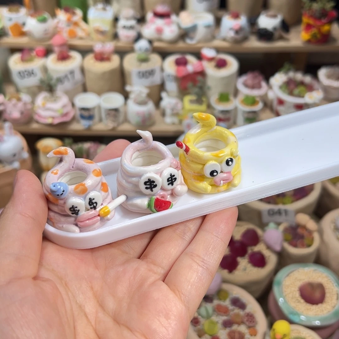 B****多肉植物77号种好