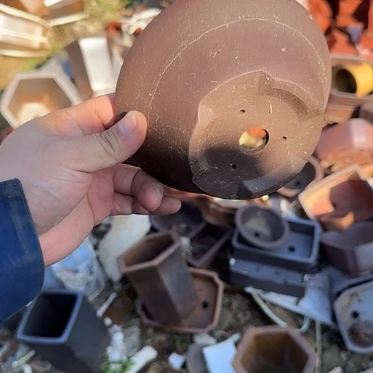 一哈来我这儿吃饭啊亲爱的媳妇