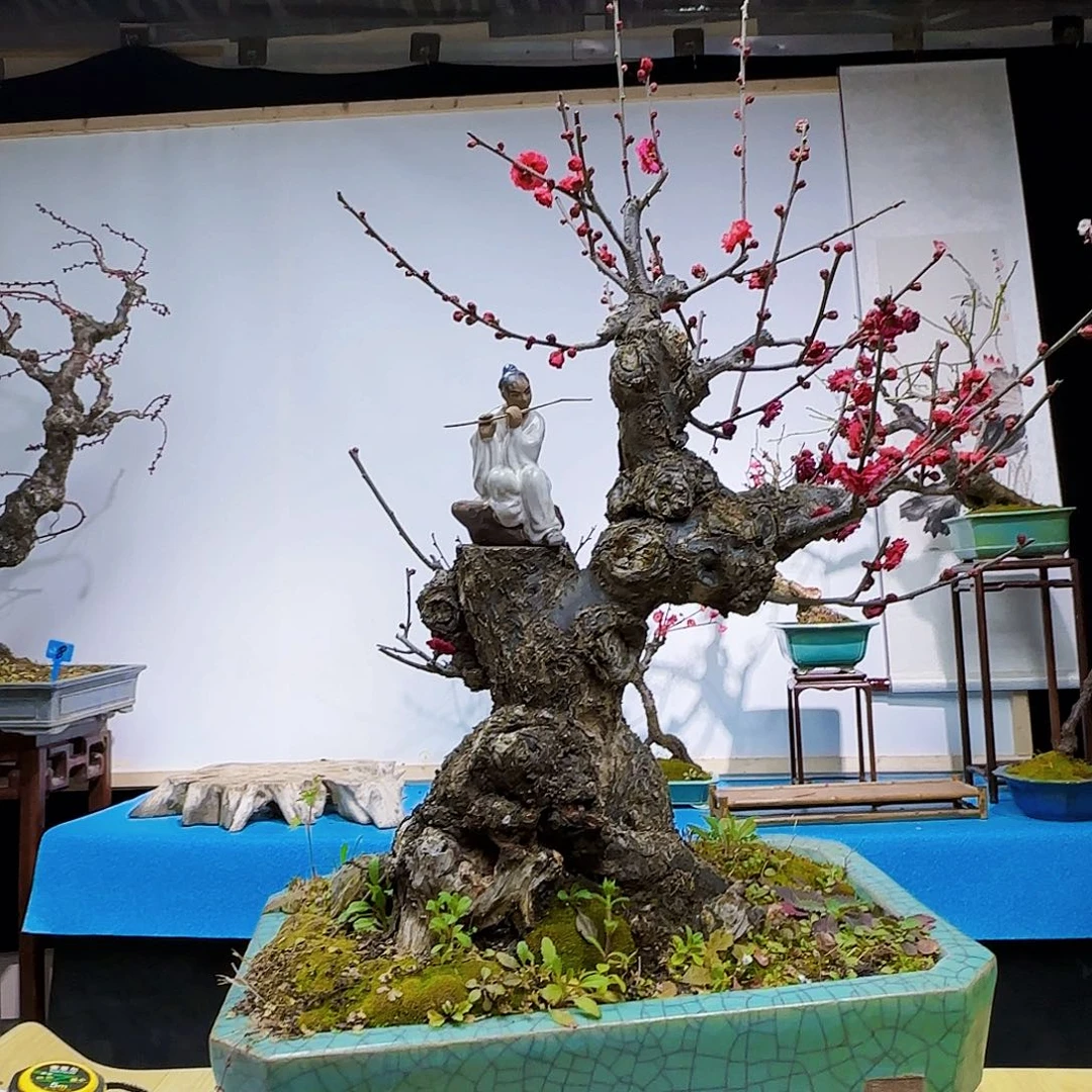 红陶管*军d f v b j k k k k m