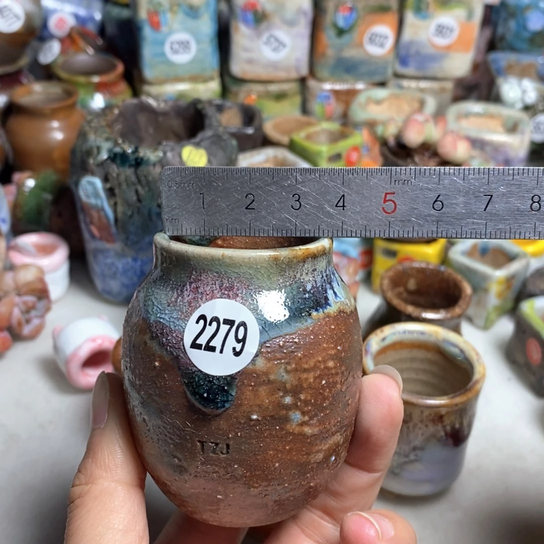 拍5送一个小礼物