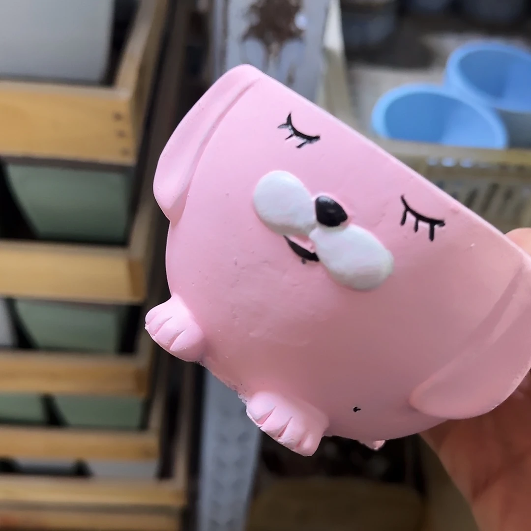 陶瓷福利局·自动合并订单·一个个买凑9元发·5001