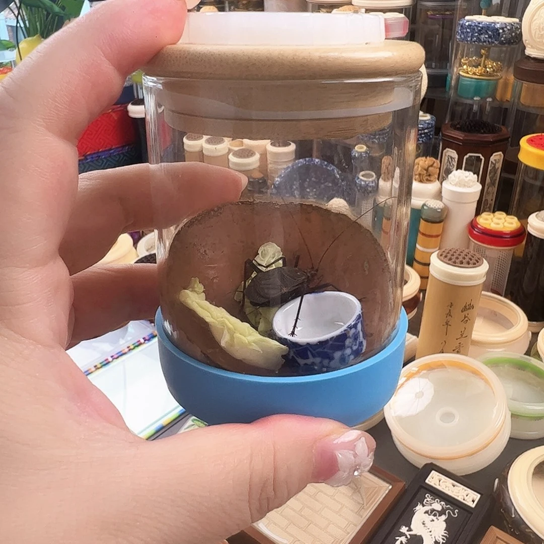 哈哈哈生态罐带麒麟