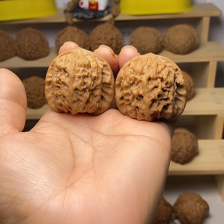 核桃43尺寸野狼狮子头