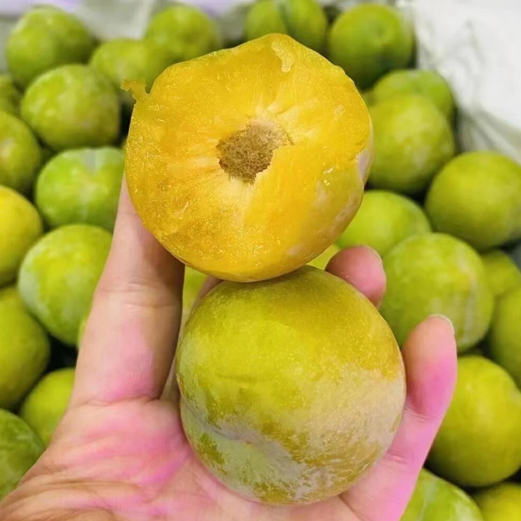 甜蜜多汁的蜂糖李500g约