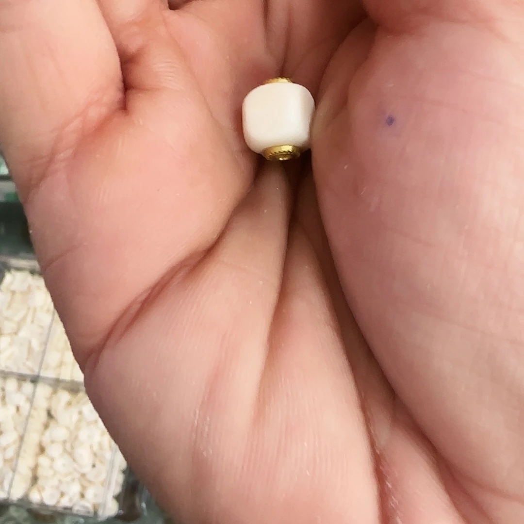 手链未镶嵌水晶桶珠