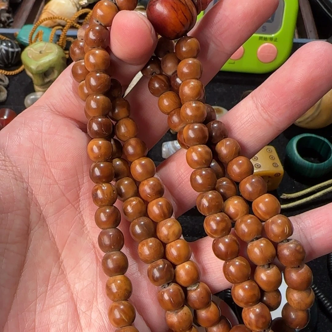 T***、磁石秘书专属zzzzzzzzzzzzz