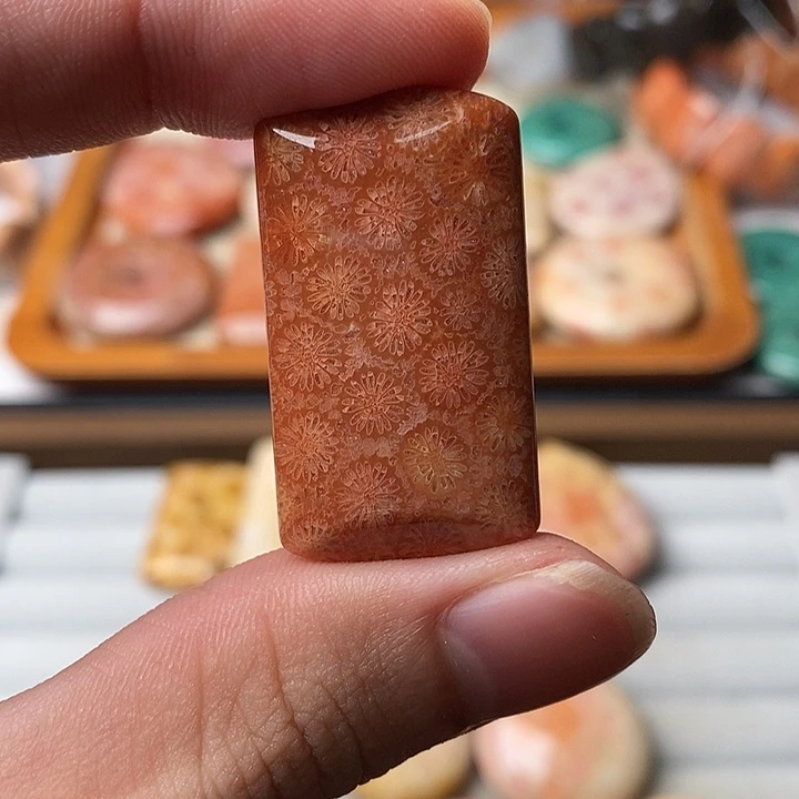 凋***硅化玉未镶嵌颈饰