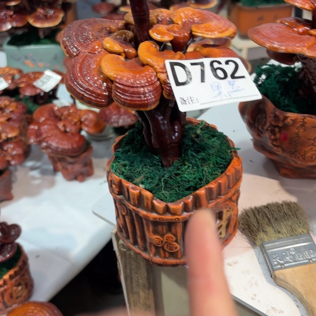 黑***豆无花朵灵芝988888888888