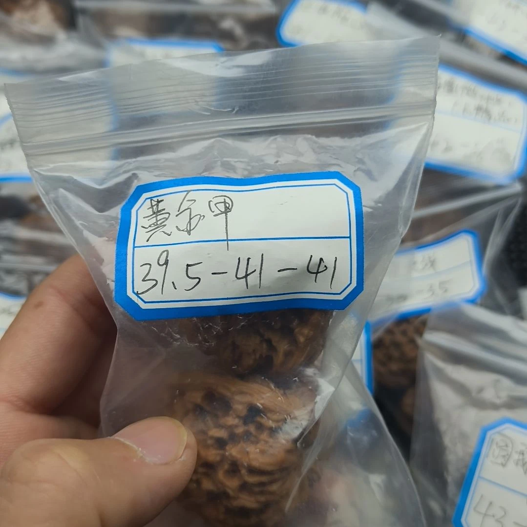 文玩核桃吊坠LOL来了来了来了