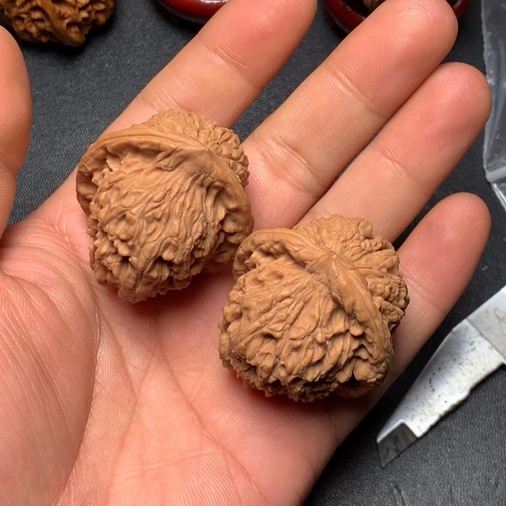 文玩核桃把件39红狮子58