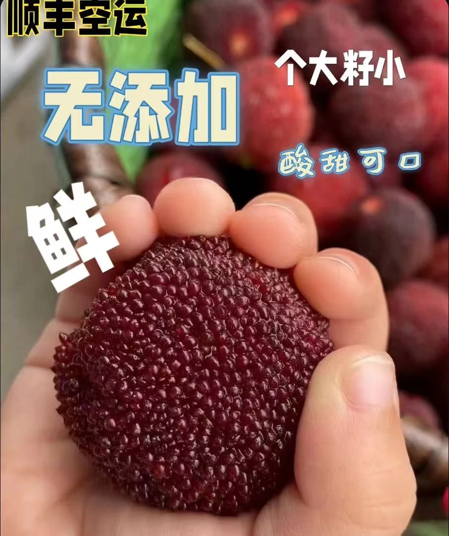 东魁杨梅，自家果园果大籽小无添加，精梳果，酸甜可口，顺丰速运