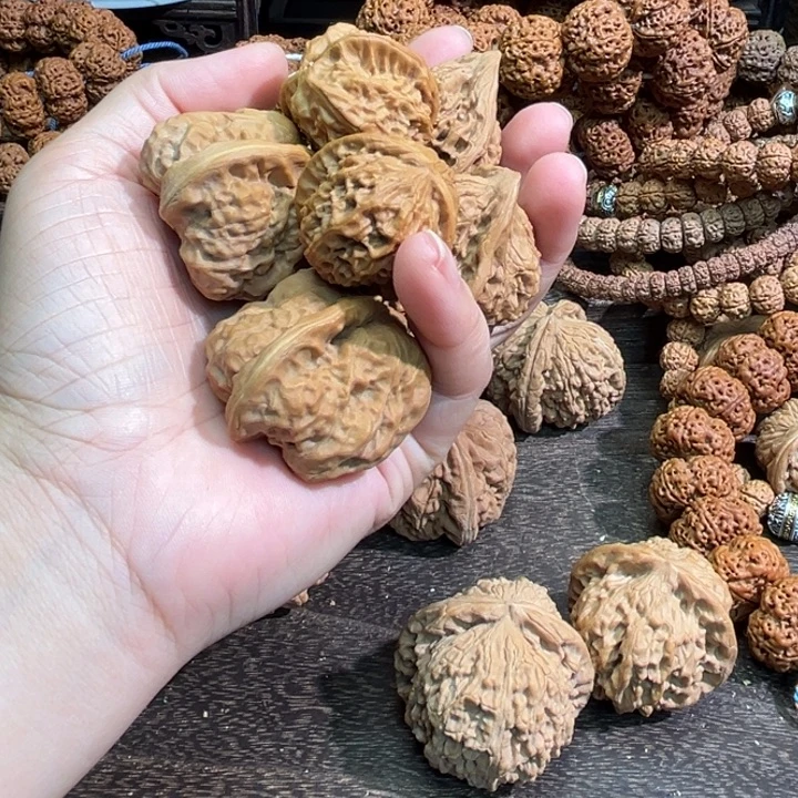 从***后手串金刚菩提核桃