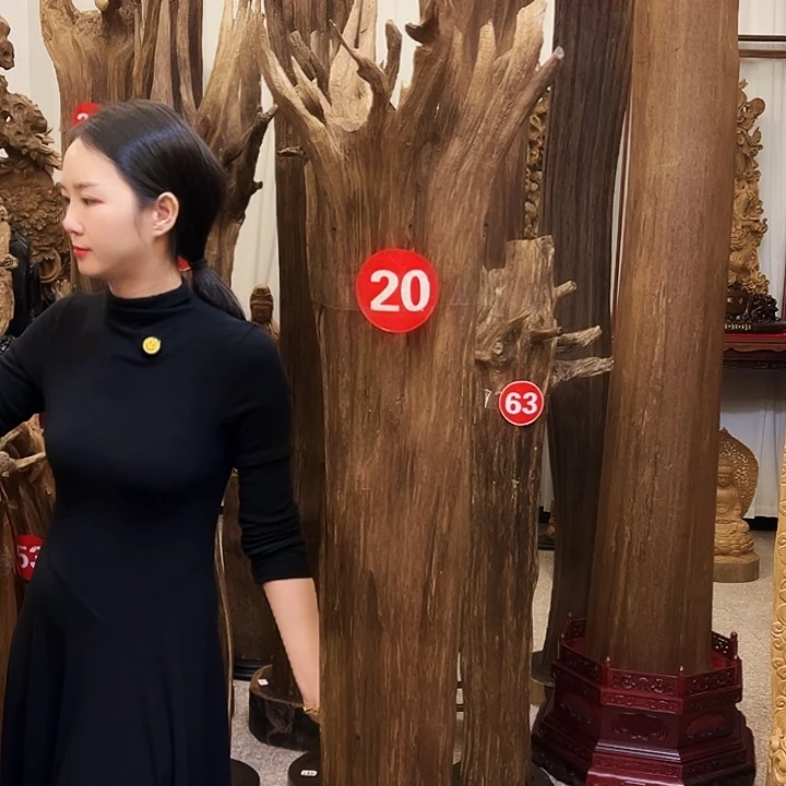 娄***设沉香沉香碎屑沉香原材料