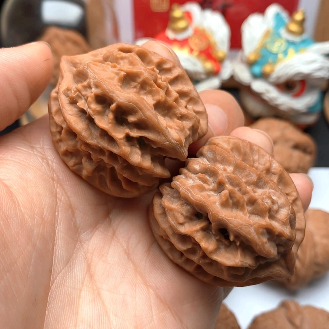 37尺全品曹大龙野生