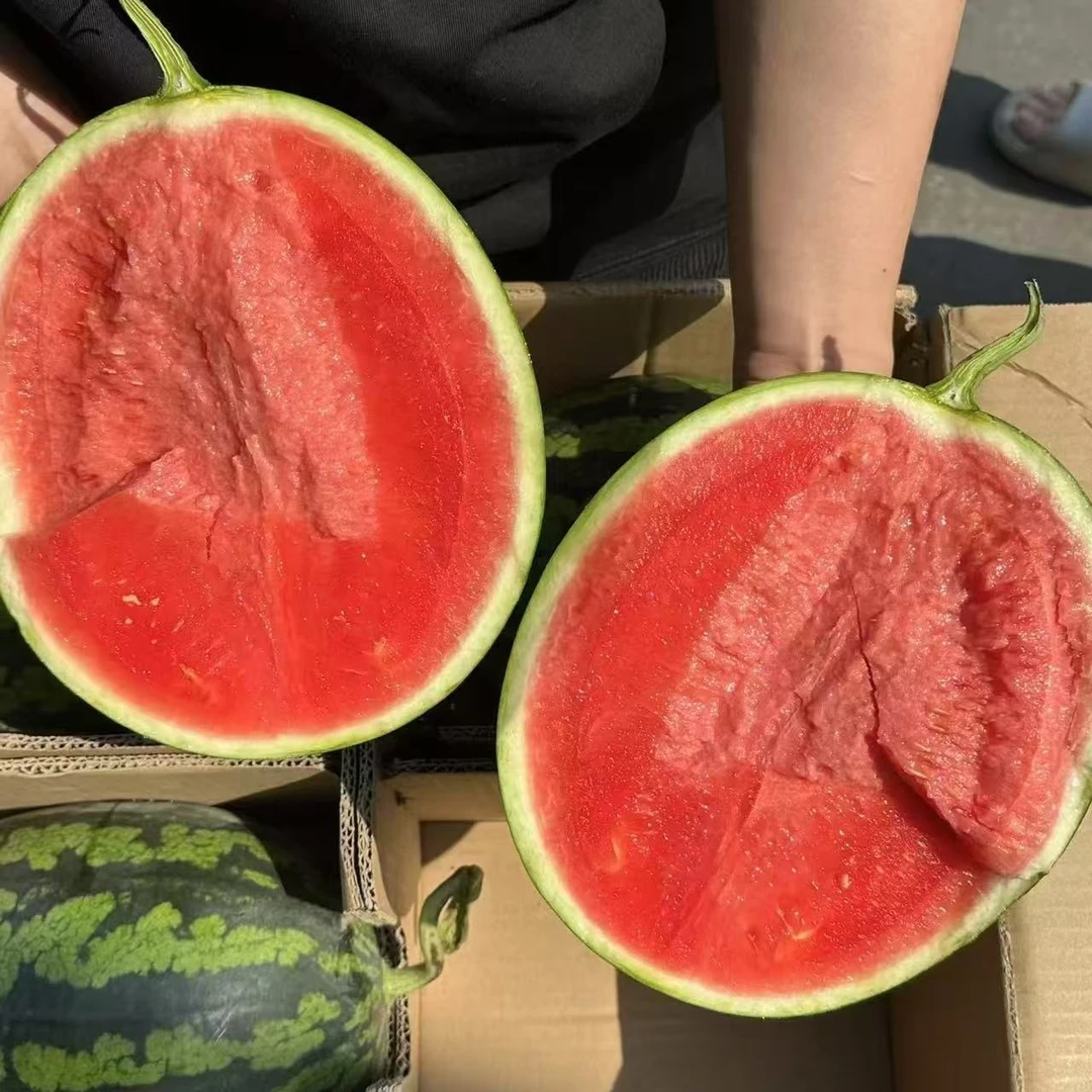 甘美4K西瓜糖度高脆甜多汁满口爆汁一个5斤以上甘美新鲜西瓜精选