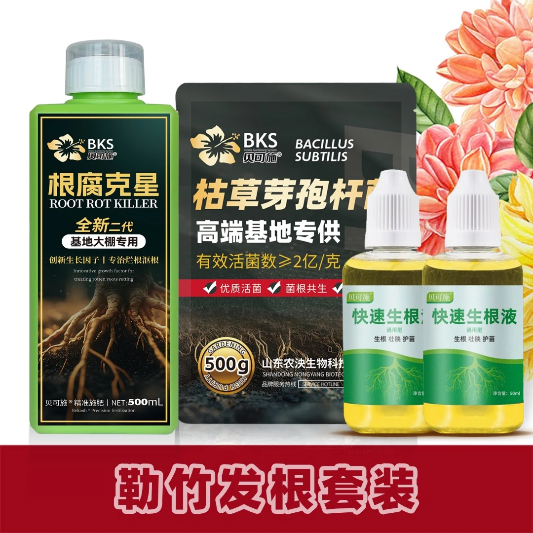 贝可施【勒竹发根套装】枯草芽孢杆菌菌根共生促进生长调节土壤酸碱