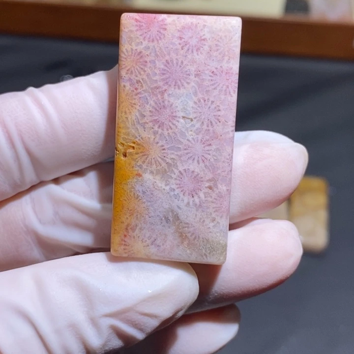 【闪购商品】未镶嵌珊瑚玉硅化玉