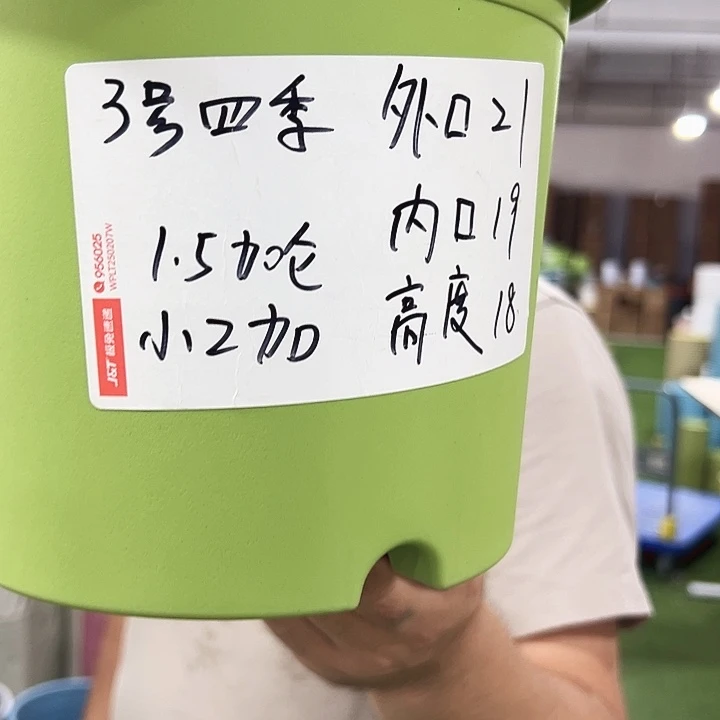 特价3号四季口21高18混色10个无托