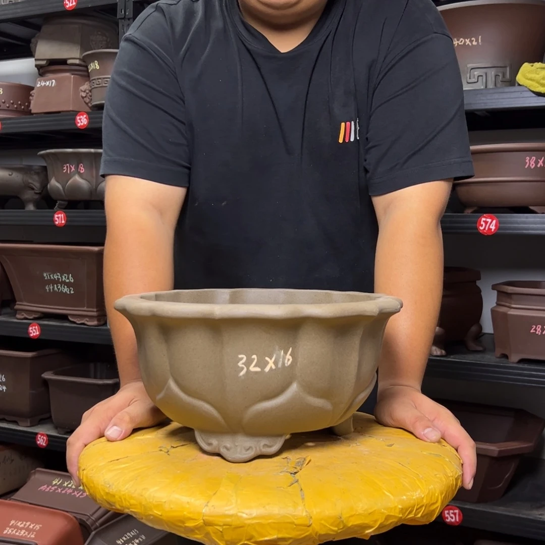 紫砂其他呜呜呜呜呜我