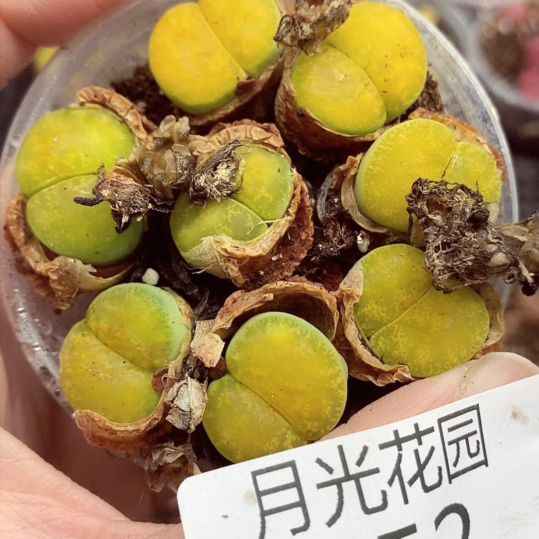 我会把钱花了在还给人家152