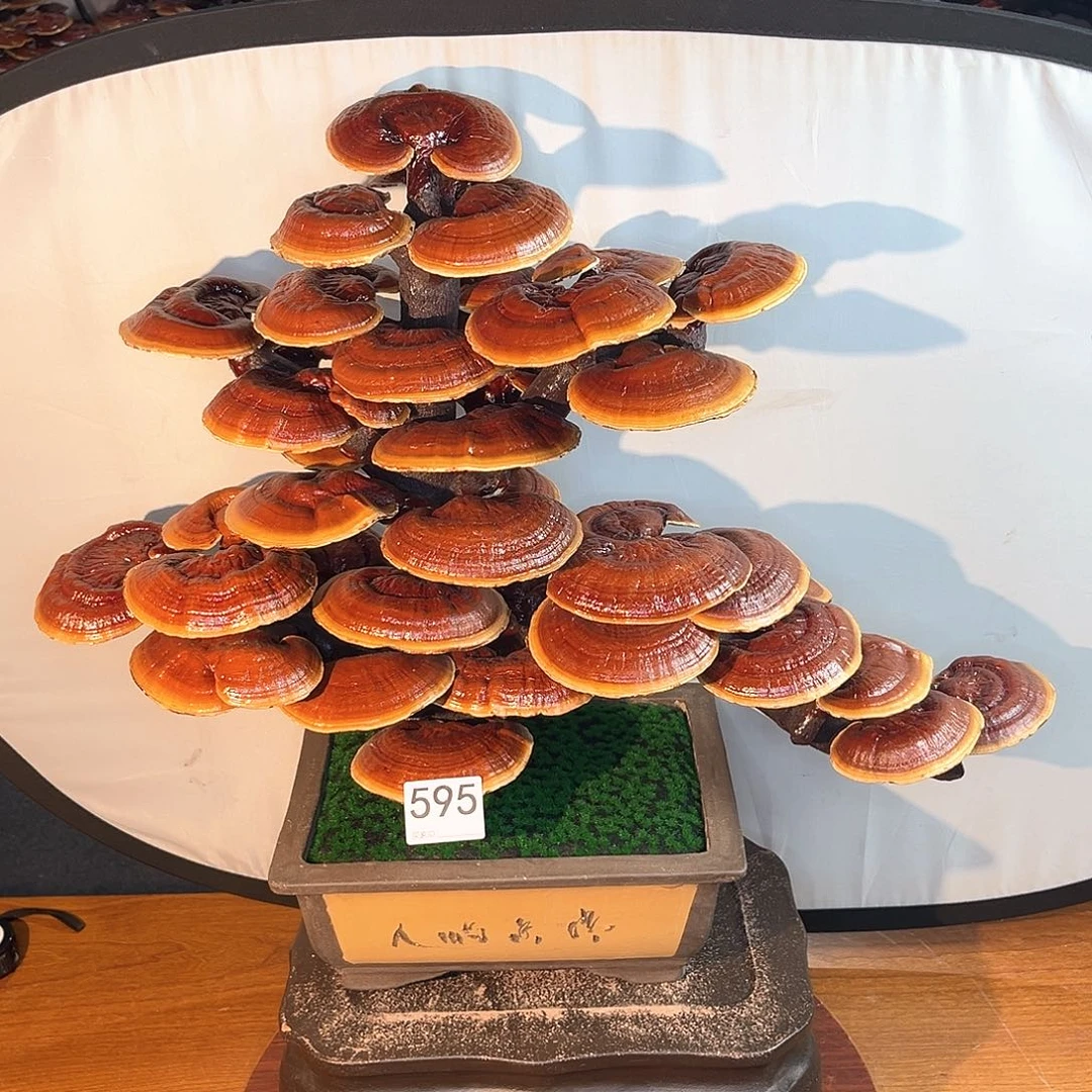 无花朵万事如意8888888888888