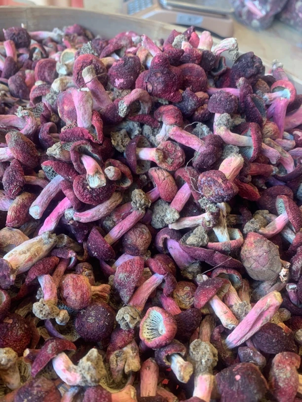 三明清流本地红菇小菇丁（菇脚带土）