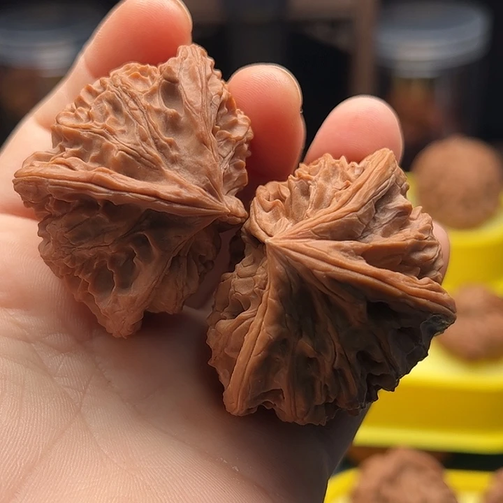 文玩核桃把件四棱飞蛇