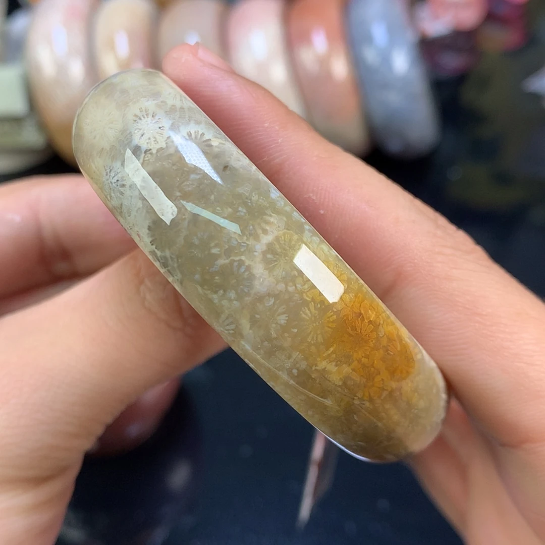 【闪购商品】颈饰未镶嵌硅化珊瑚（珊瑚玉）57号56.9全面雏菊