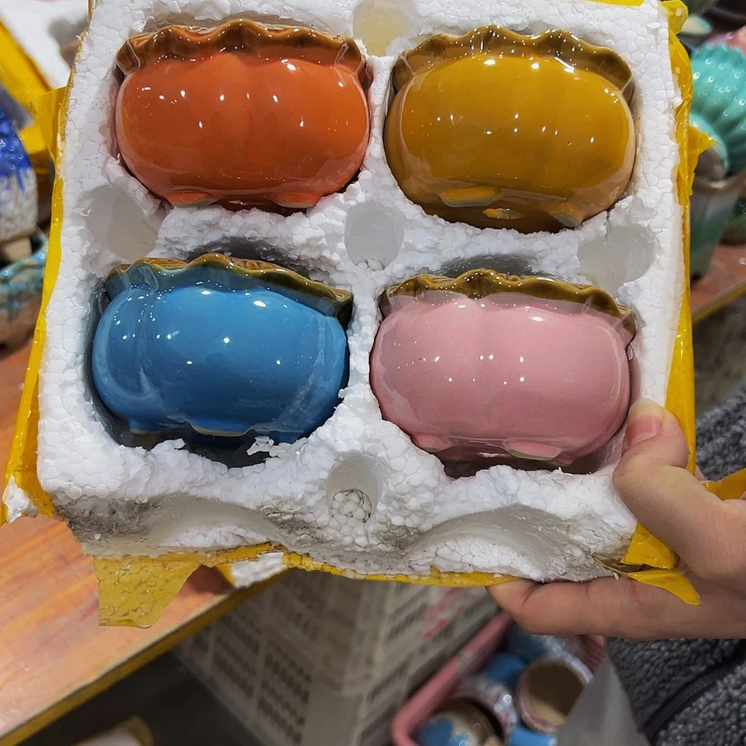 陶瓷福利款多肉花盆