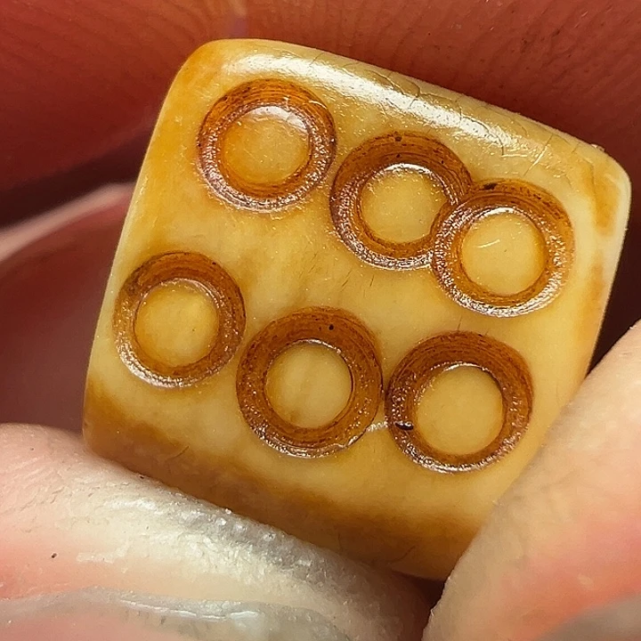 我们都是在这里看到的哈