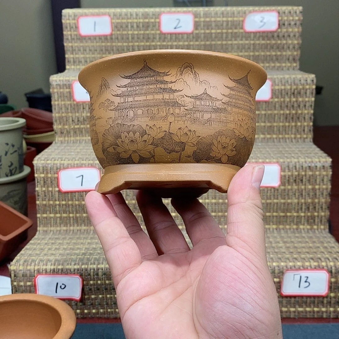 紫砂花盆我在等一