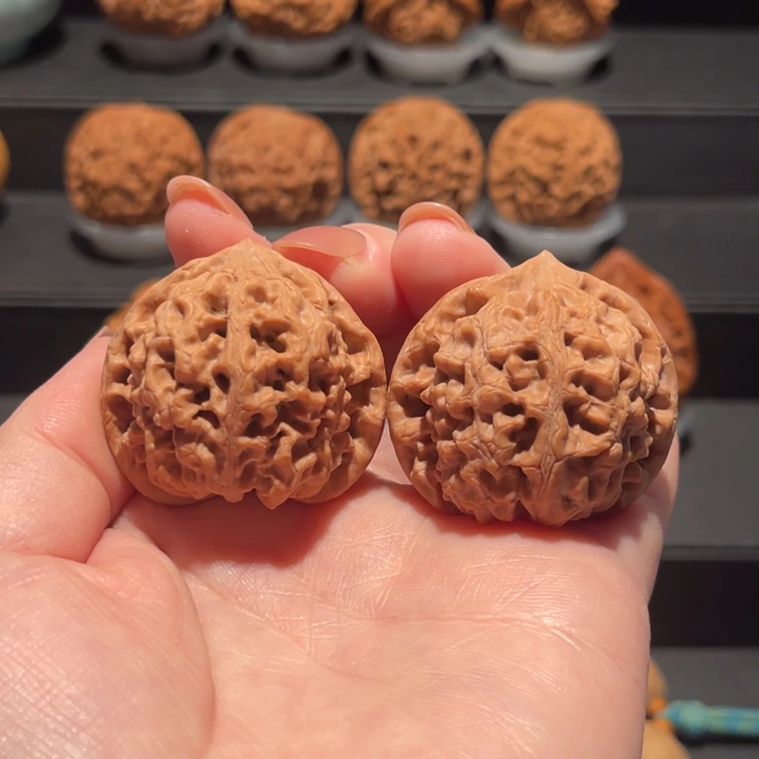 太行龙纹38精品，毕业588