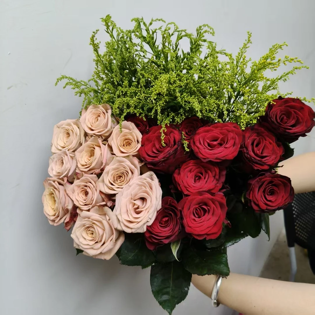 【卡布奇诺10枝+高原红10枝+黄莺1扎】鲜花两单升级顺丰/德邦上门
