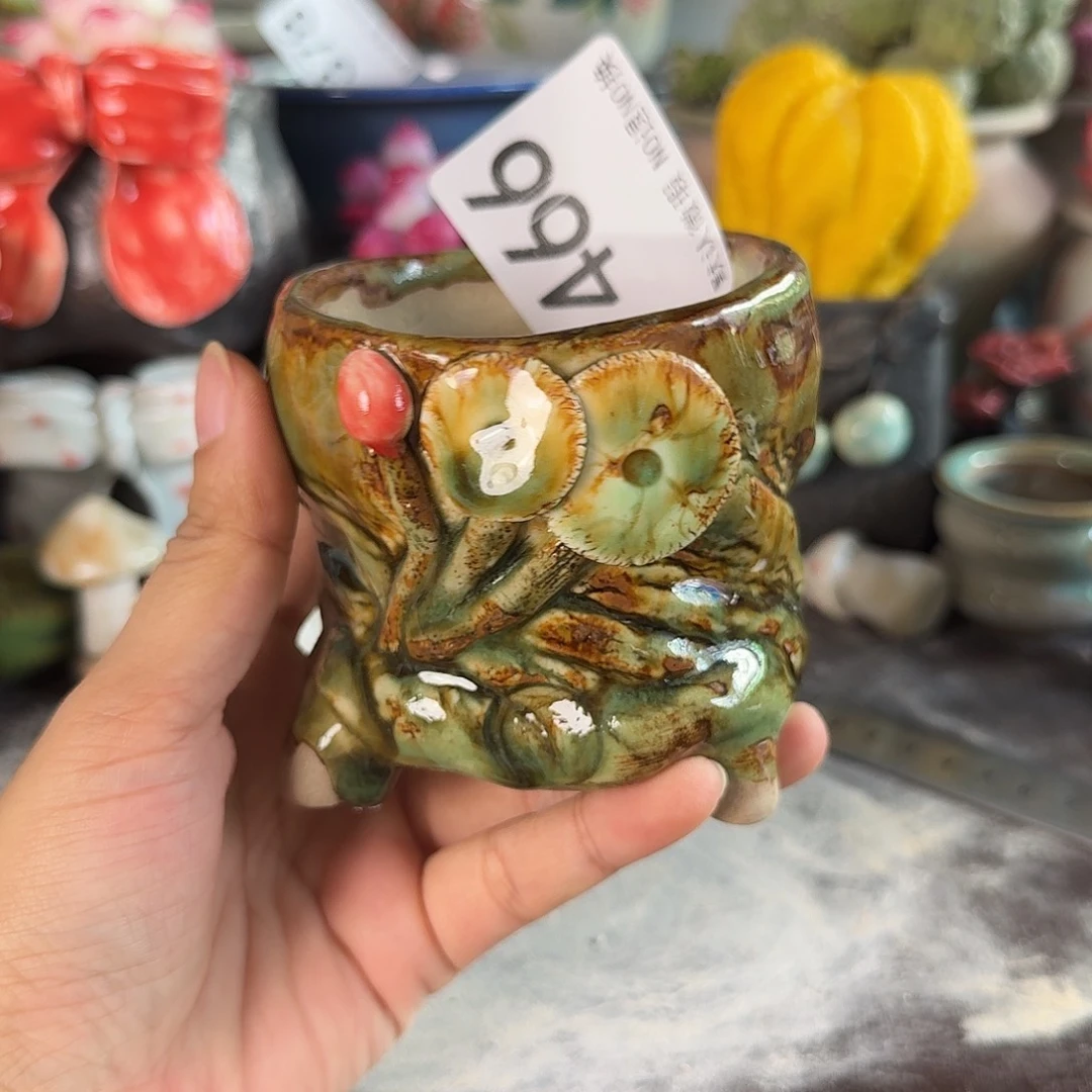 重庆小燕子欢迎大家466